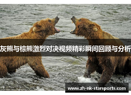 灰熊与棕熊激烈对决视频精彩瞬间回顾与分析